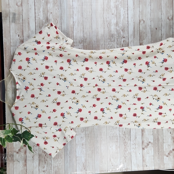 NWT, NADINE WEST, Women's Ivory w/ Red floral dress, round neck, Sz 1XL - Picture 9 of 11